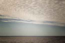 on the shore / ***