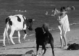 beach / ***