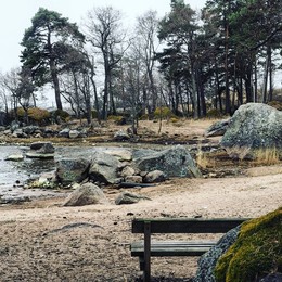 Kotka / ***