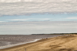 Coast / ***