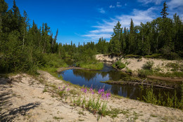 Northern Summer / _ _ _