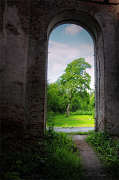 Fenster / ***
