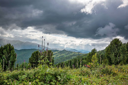 Before the rain / ***