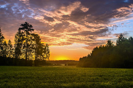 Morgendämmerung / ***