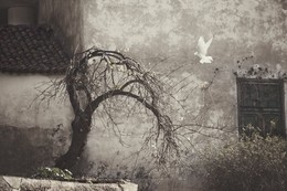 Two loneliness / ***