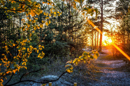 Sunset / ***