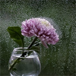 rain outside the window / ***