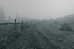 Fog Catcher / ***