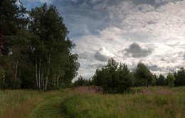 Landschaft in der Nähe von Moskau / ***