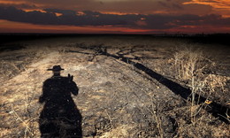 Wanderer / ***