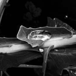 Untitled / ***