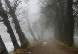Wanderung / ***