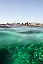 Dahab / ***