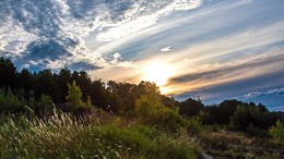 In the sunset. / ***