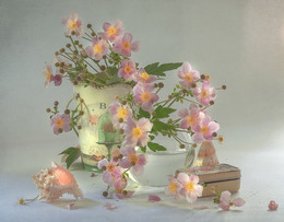 pink flowers... / ...