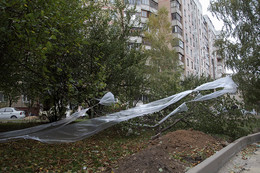&nbsp; / [img]http://s019.radikal.ru/i623/1708/f2/6aa6b1877a3a.jpg[/img]
