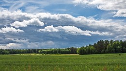 Landscape. / ***