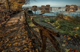 Das Leben auf dem Wasser / ***