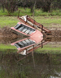 Reflection / ***