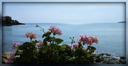 I don't want to say goodbye for the summer... / https://www.youtube.com/watch?v=7ufGxqxeBJE