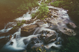 At the Source / ***