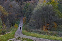In the autumn ... / ...