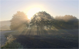 Light / ***