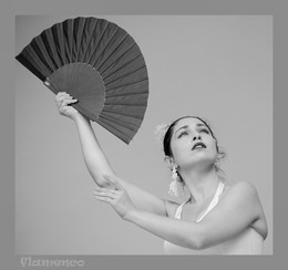 Flamenco / ***