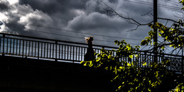 Bridge / ***