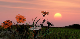 Gulpen / ***