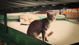 street bums / No comments.