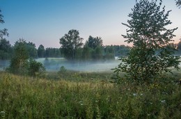 Abendnebel / ***