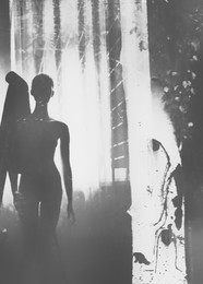 Summer Dreams / ***
