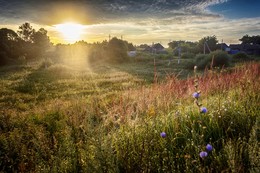 Dawn / ***