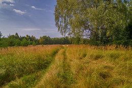 Beginning of autumn / ***