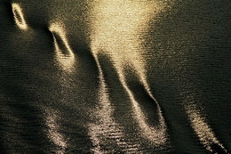Footprints / ***