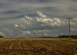 The end of the summer / ***
