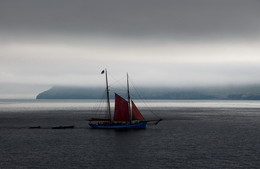 foggy coast / ***