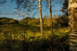 Abend / ***