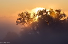 Dawn / ***