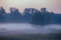 Nebligen Morgen / ***