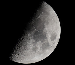 moon / ***