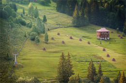 Im Wald am Rande / ***