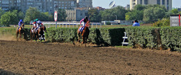 Winner! / [img]http://rasfokus.ru/upload/comments/03f315a679234503b21bc96e961041fd.jpg[/img]
