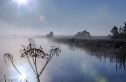 Morning on the lake. / ***
