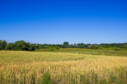 Clear day. / ***