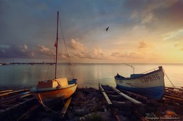 relaxation / ***