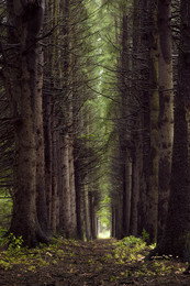 To light... / ...
