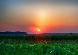 Sunset / ***