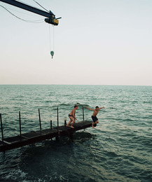Fly away ... / ***